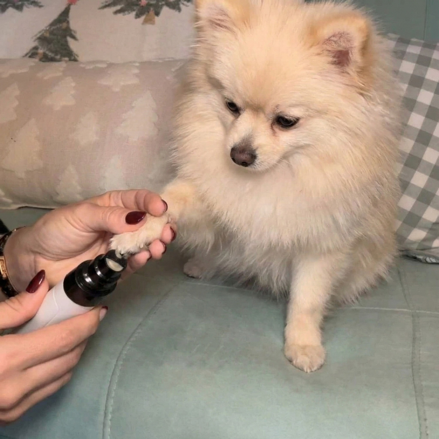 CuddleClaw Nail Trimmer